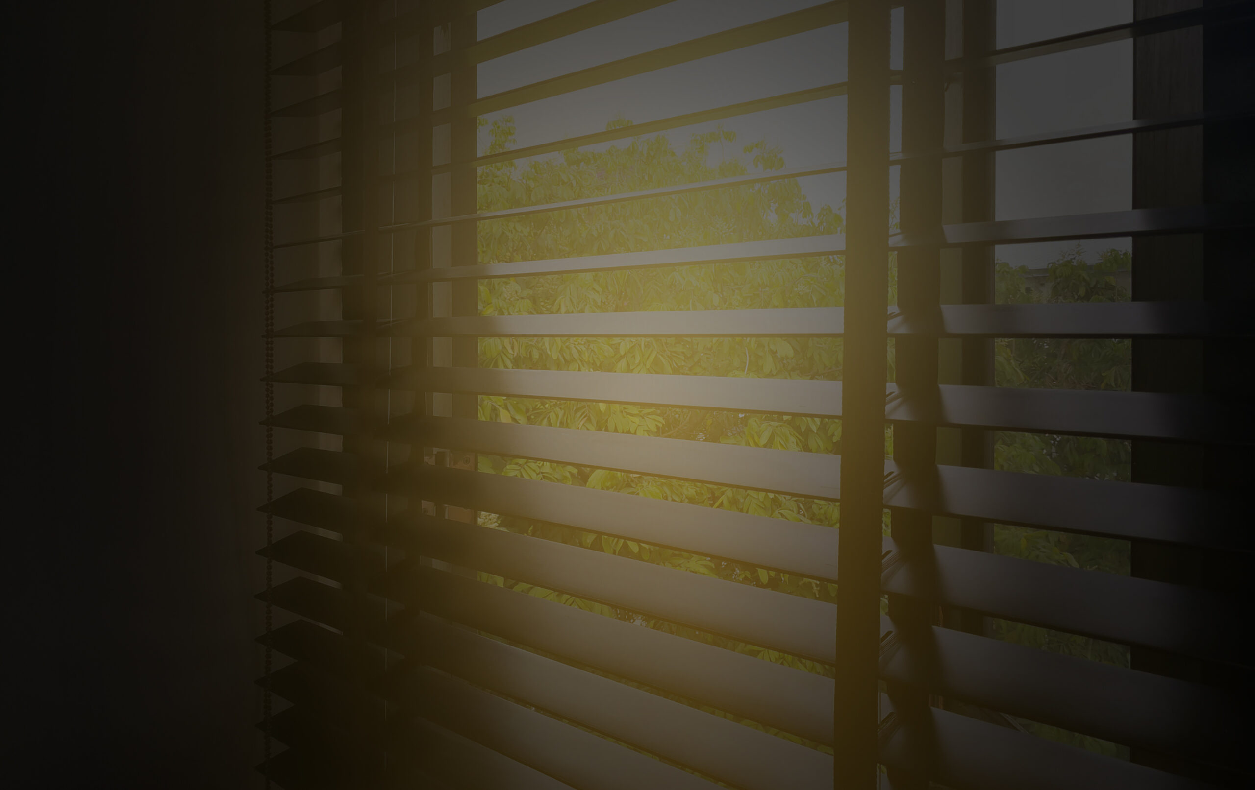 Żoliborz wybiera rolety: jak wybrać idealne okno z zaciemnieniem?